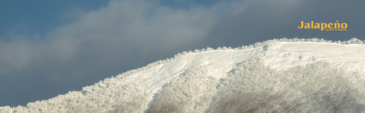Snowboarding in Powder or Backcountry? Here's What You Need to Pack to Survive and Thrive!