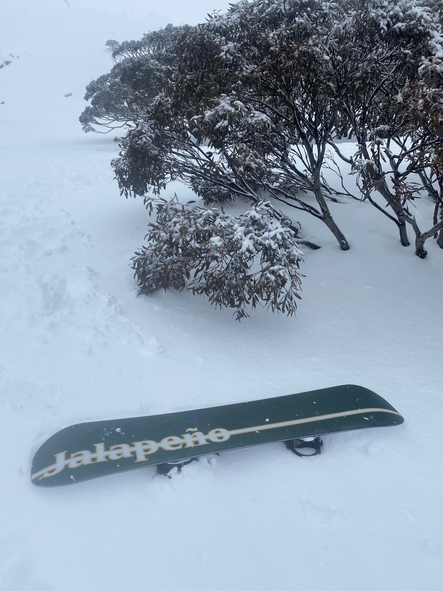Base Graphic of RetroPRO custom twin shape snowboard on hill in powder snow at Perisher Australia - Jalapeño Board Company | Custom Snowboards Australia